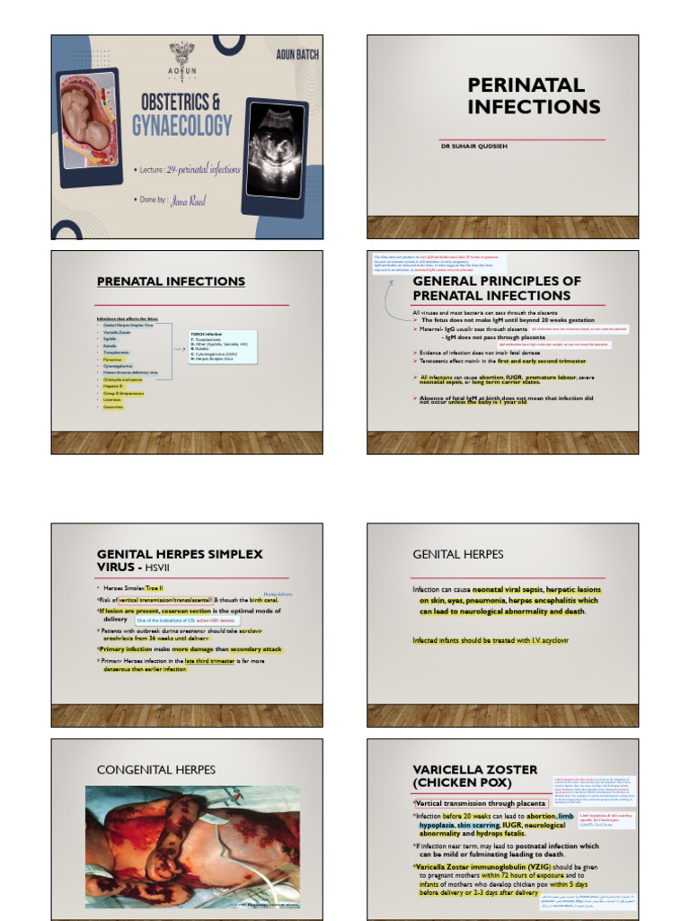 Perinatal Infections and Their Effects | PDF | Zika Fever | Prenatal ...
