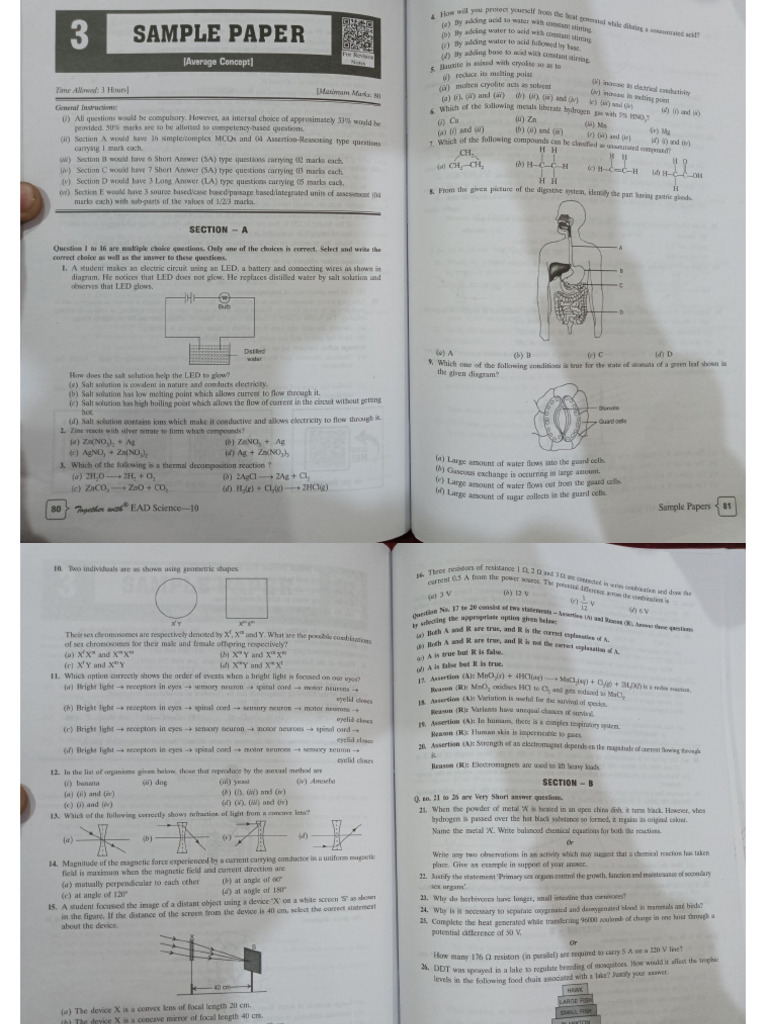 Sample Paper 3 To 6 | PDF