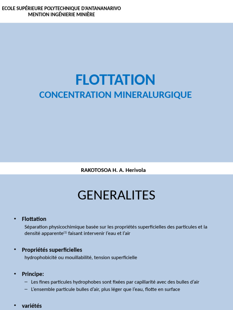 Flottation : Principes et Applications Minières | PDF | Métaux | Sulfure