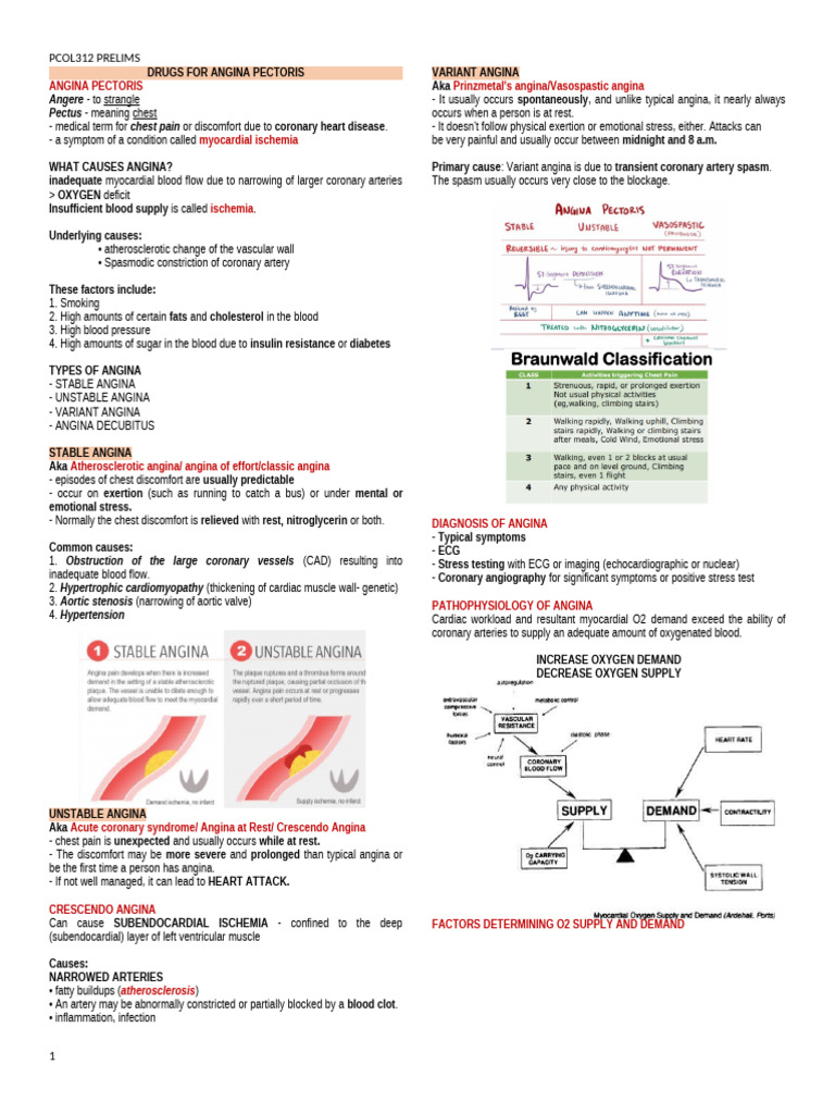 Drugs For Angina Pectoris | PDF | Coronary Artery Disease | Blood Vessel