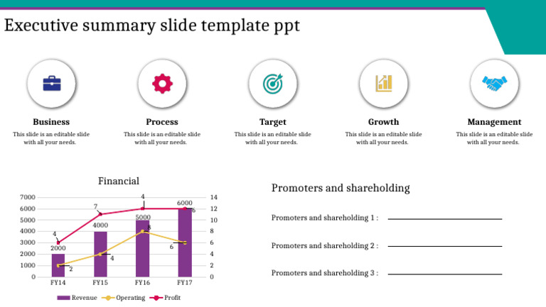 Executive Summary Slide Template | PDF