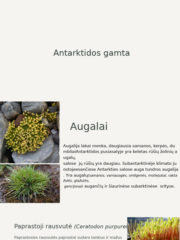 Antarktidos Gamta | PDF