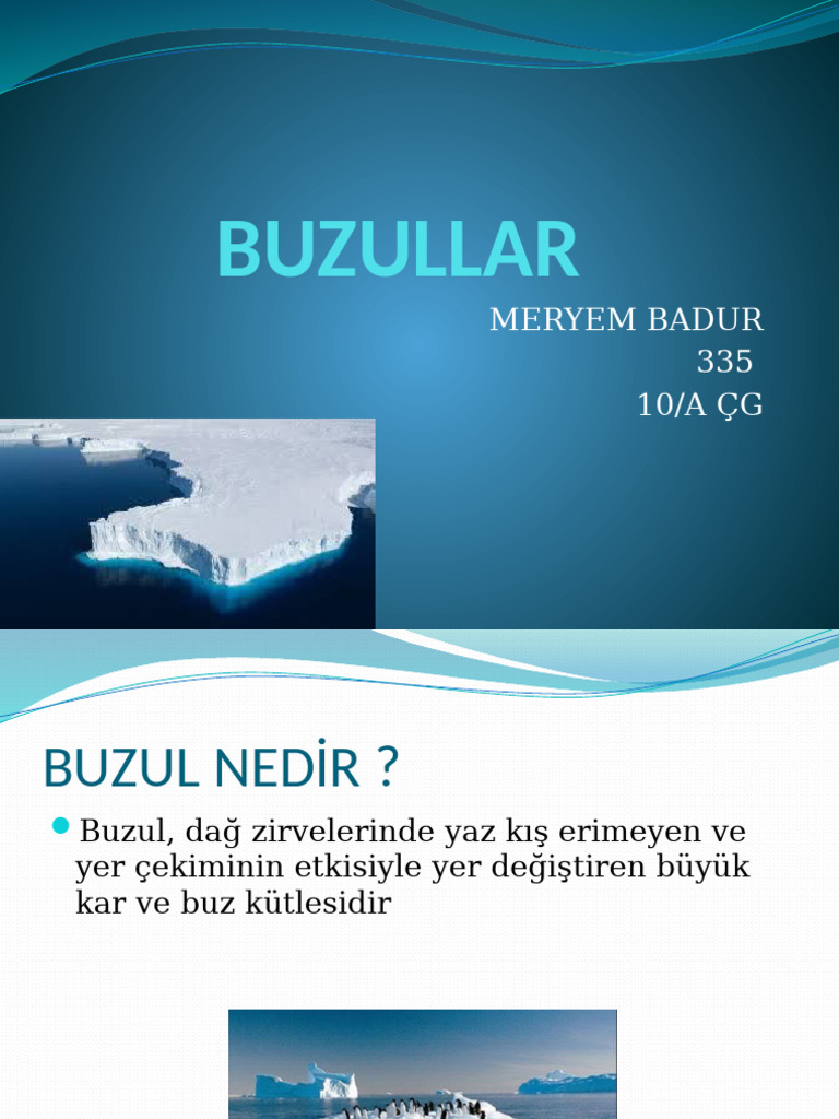 BUZULLAR | PDF