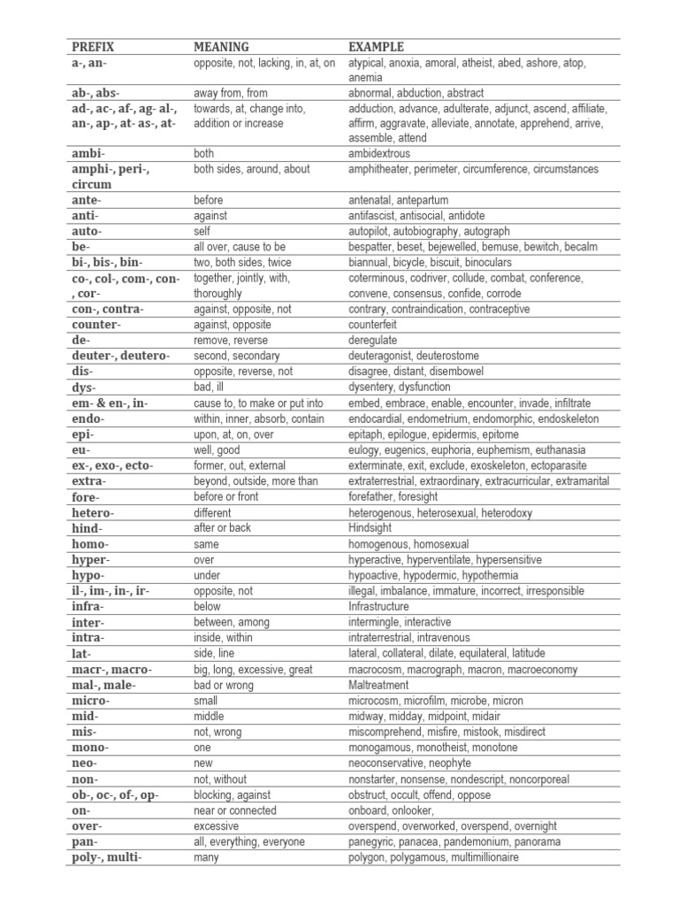 Reviewer On Common Prefixes and Suffixes | PDF