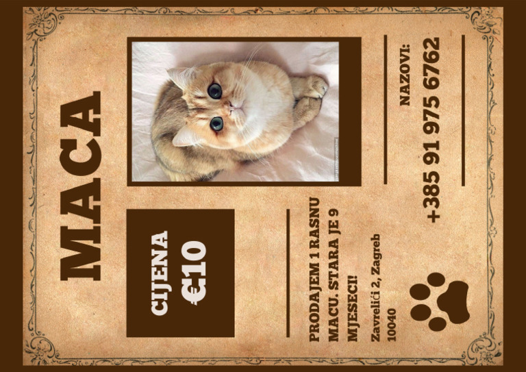 5 Maca | PDF