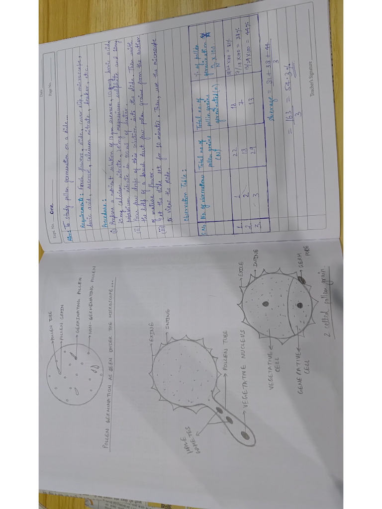 Botany visual data 4