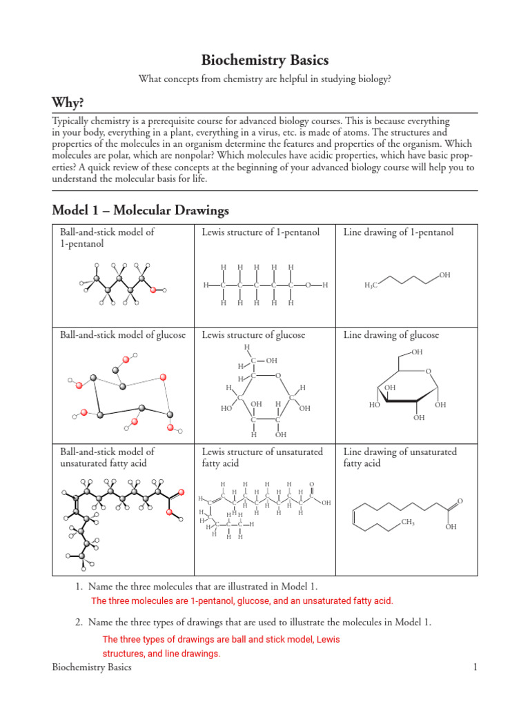 Kami Export - Afzal Sifat - 1 Biochemistry Basics-S | PDF | Chemical ...
