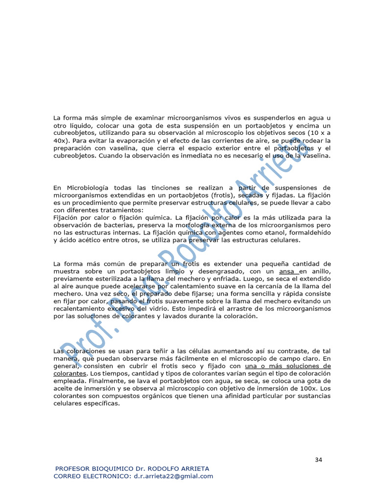 3 Coloraciones - Bioseguridad 2022 | PDF | Tinción | Bacterias Gram ...