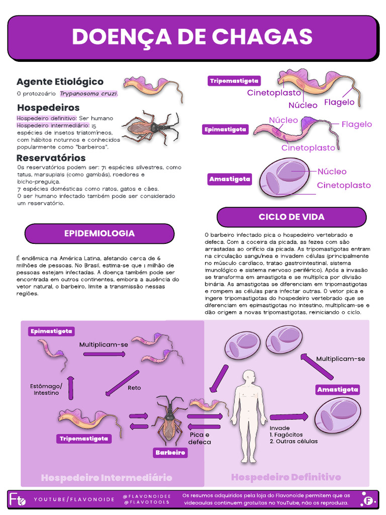 Doença de Chagas_Resumo | PDF | Especialidades médicas | Doenças e ...