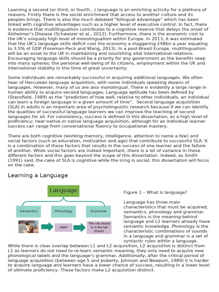 Cognitive SLA | PDF | Second Language | Second Language Acquisition