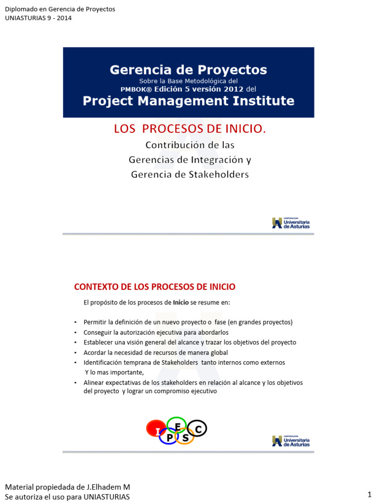 Proceso de INICIO - V1 - 2014 | PDF | Gestión de proyectos ...
