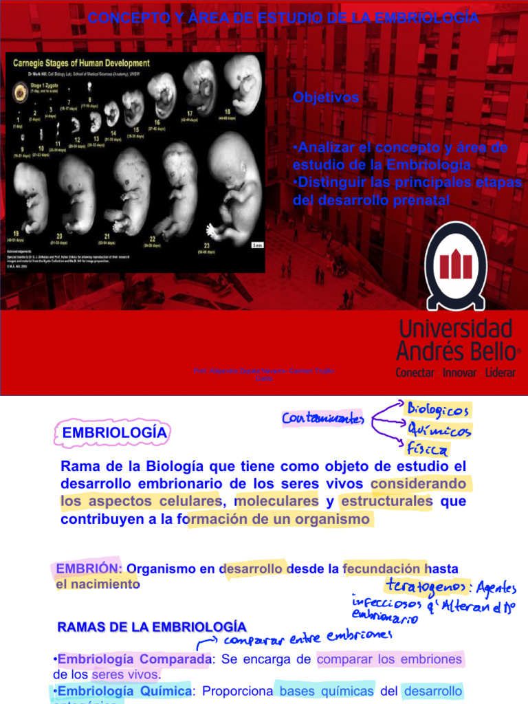 CLASE+1+EMBRIOLOGI%CC%81A+GAMETOGENESIS+2023+MORF+122 | PDF | Sexo ...