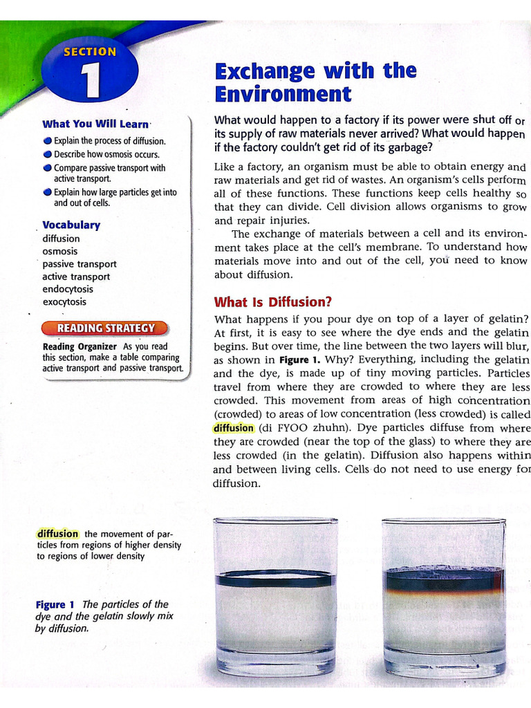 Exchange With The Environment | PDF