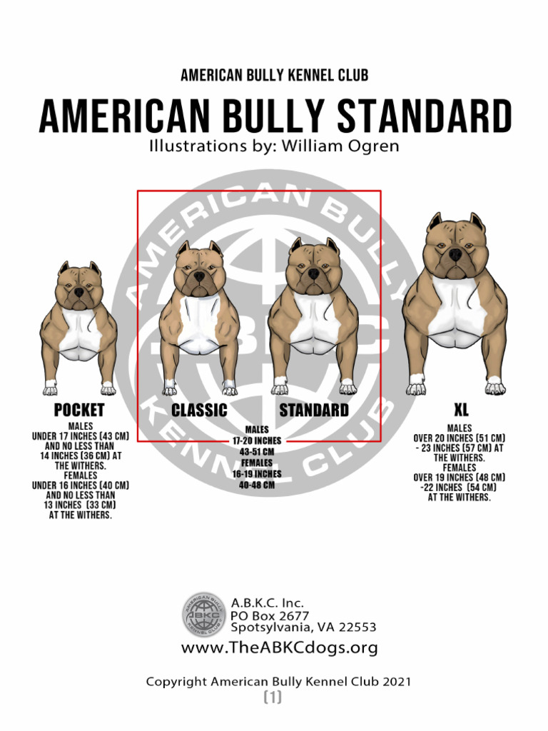 ABKC American Bully Presentation 2021 | PDF