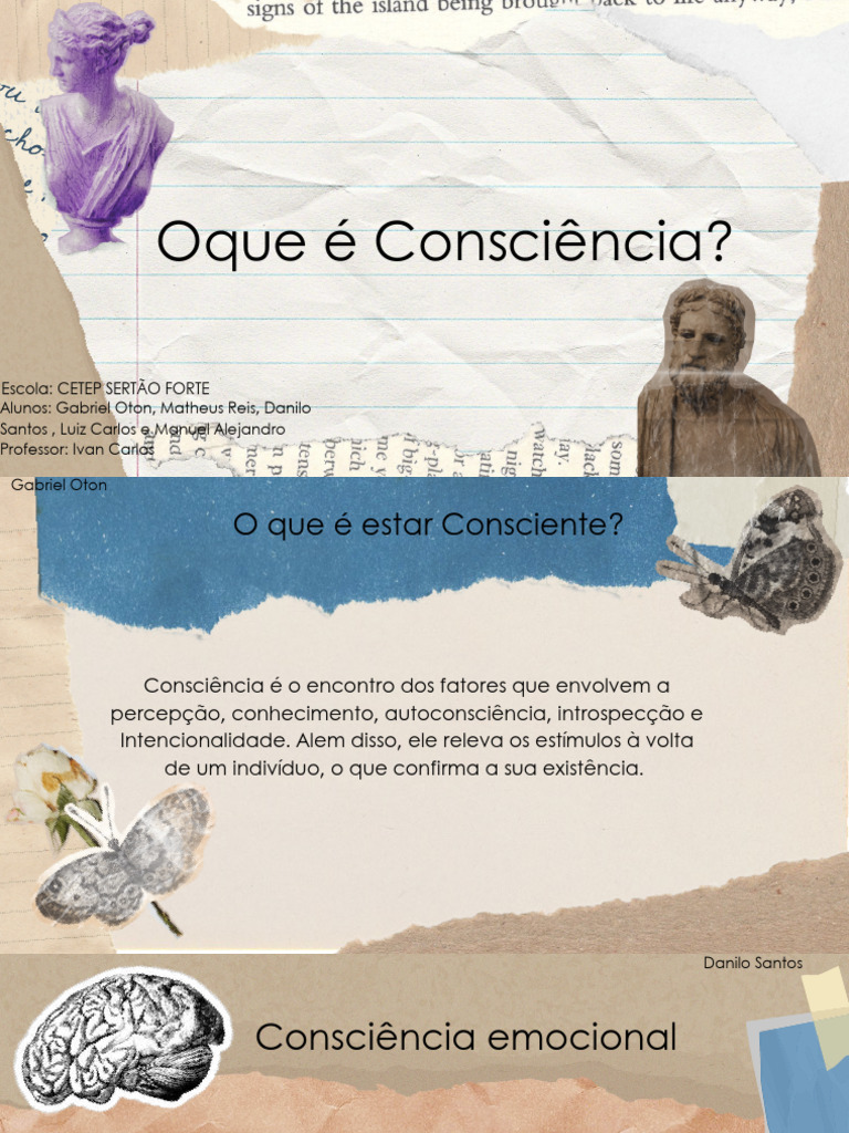 O que é Consciência e suas Dimensões | PDF