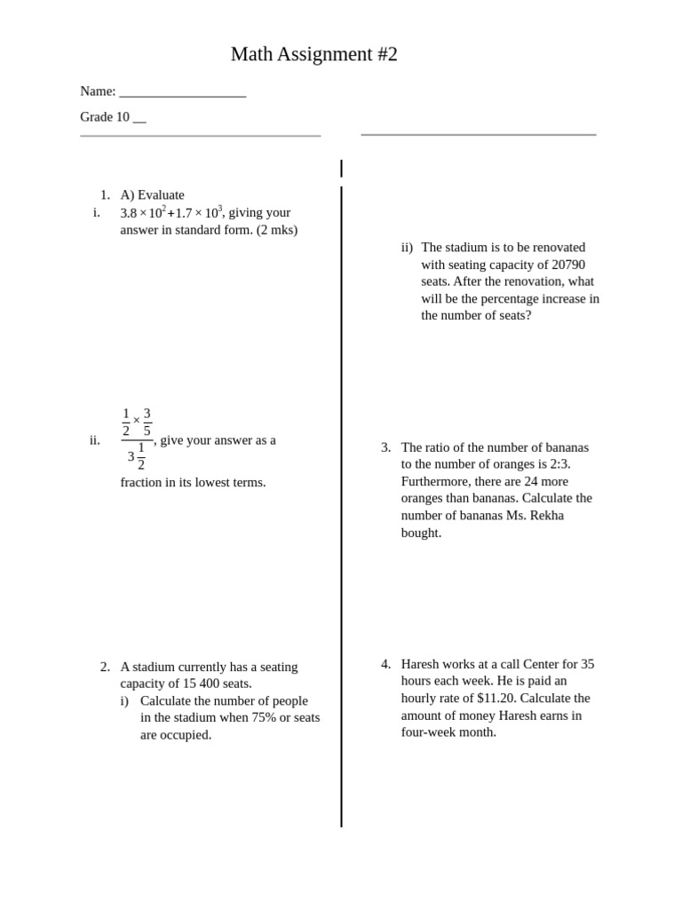 Grade 10 Math Assignment Overview | PDF