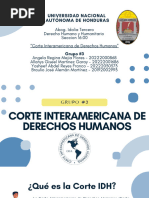 Funciones de la Corte IDH en Derechos Humanos | PDF | Derechos ...