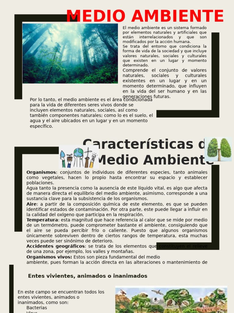 Medio Ambiente | PDF | Entorno natural | Agua