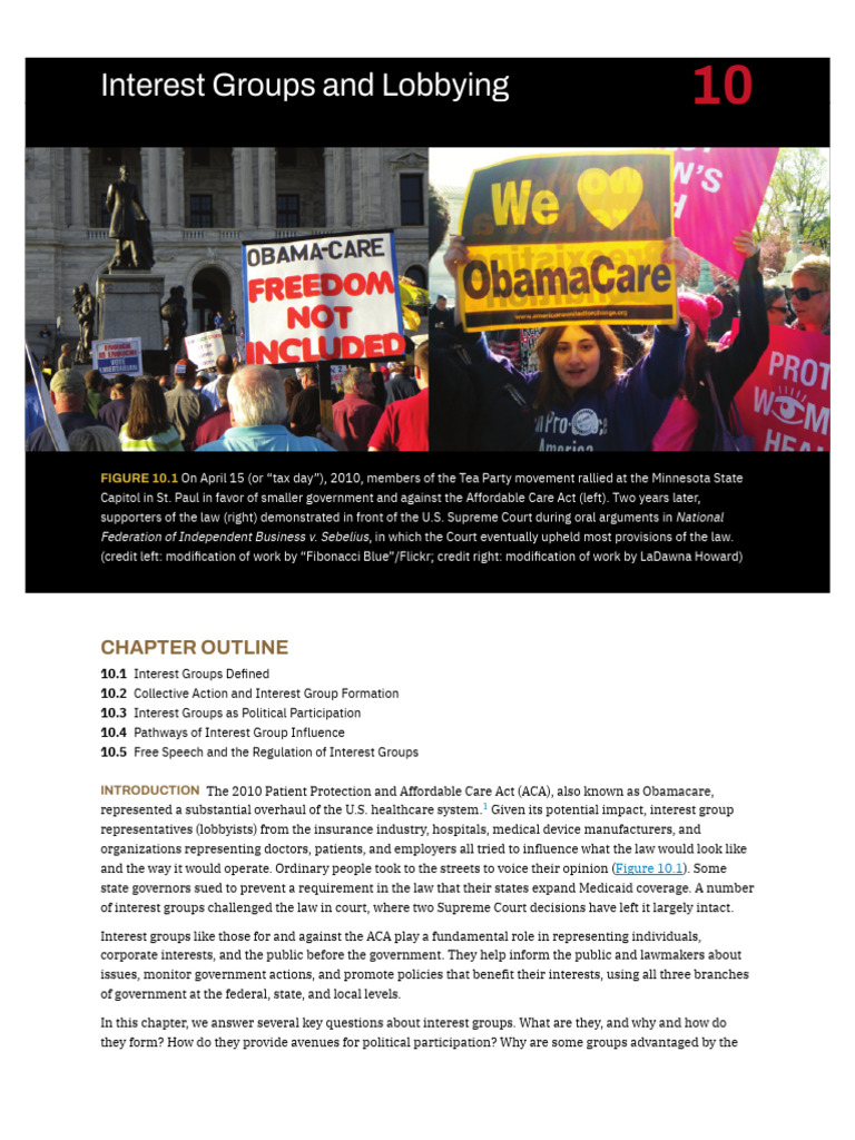 Understanding Interest Groups in Politics | PDF | Lobbying In The ...