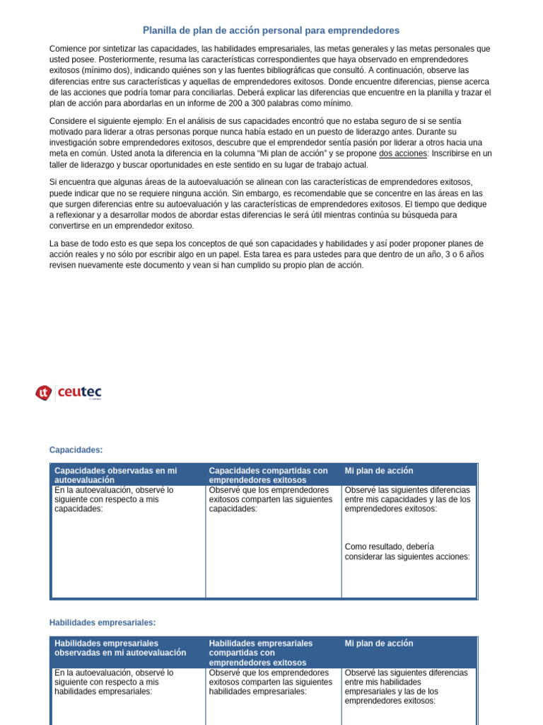 Plan de Acción Personal para Emprendedores | PDF | Iniciativa ...