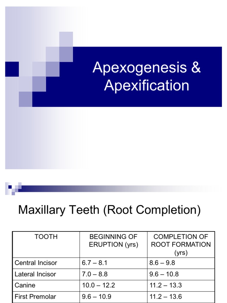 Apexogenesis & Apexification