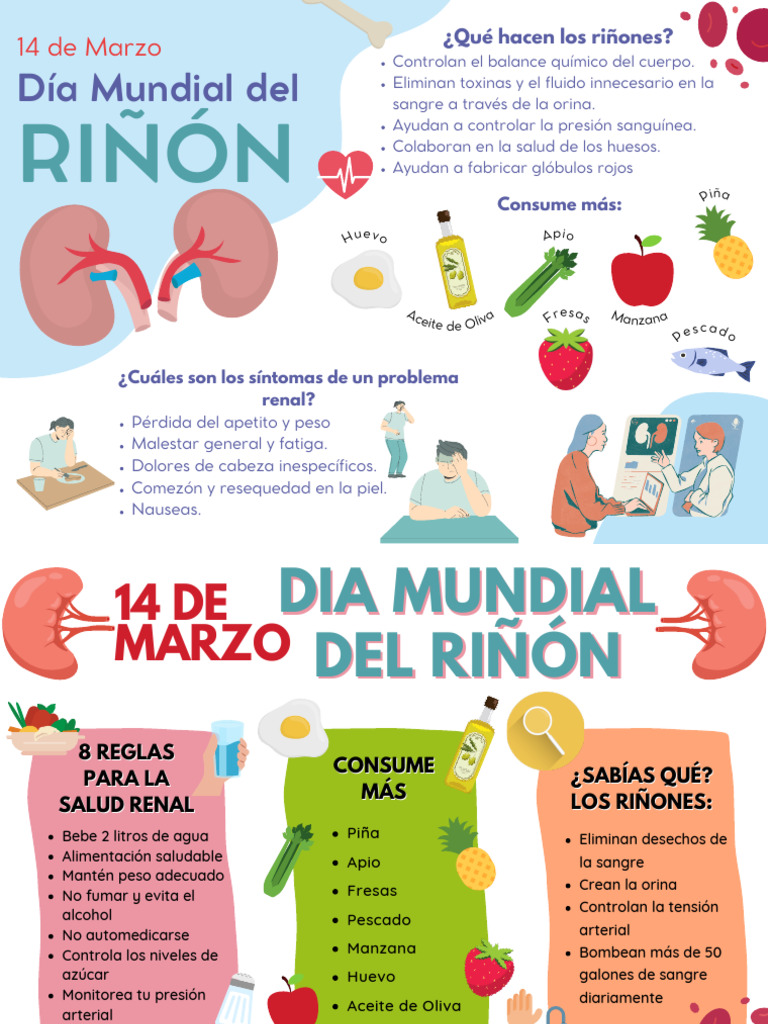 Salud Renal: Día Mundial del Riñón | PDF