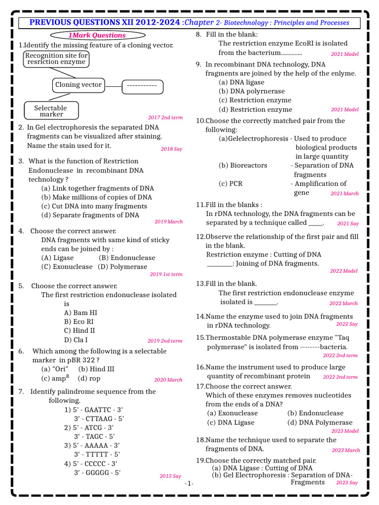 Understanding Cloning Vectors in rDNA | PDF | Polymerase Chain Reaction ...