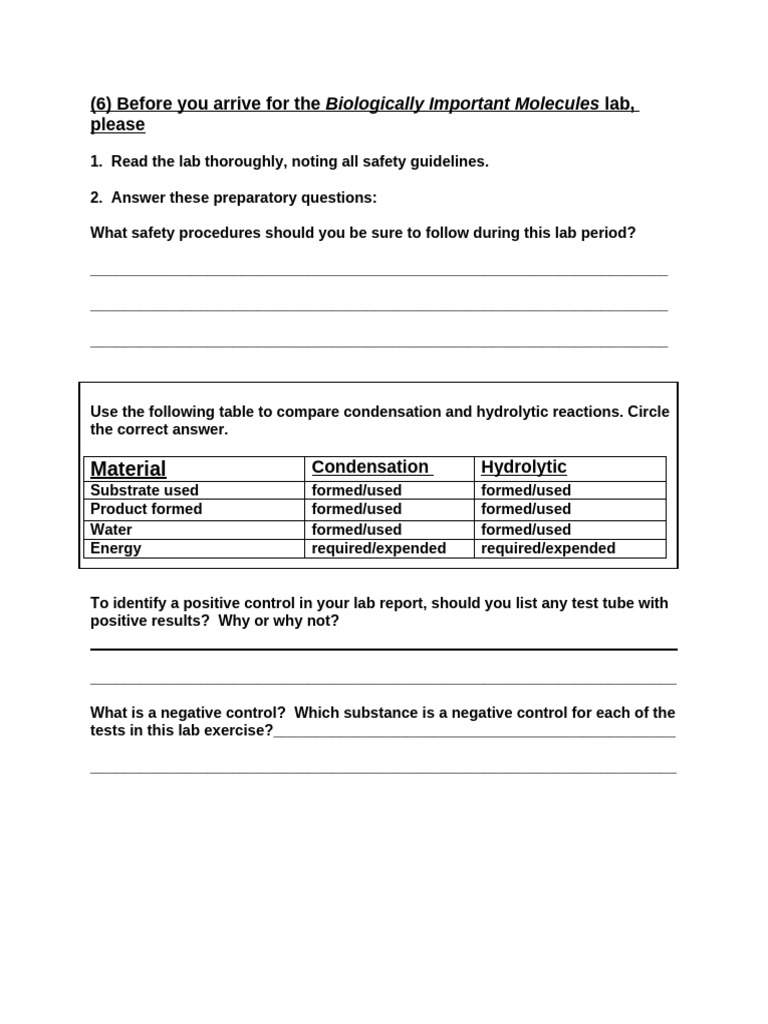 06 Biologically Important Molecules Prep | PDF | Macromolecules ...
