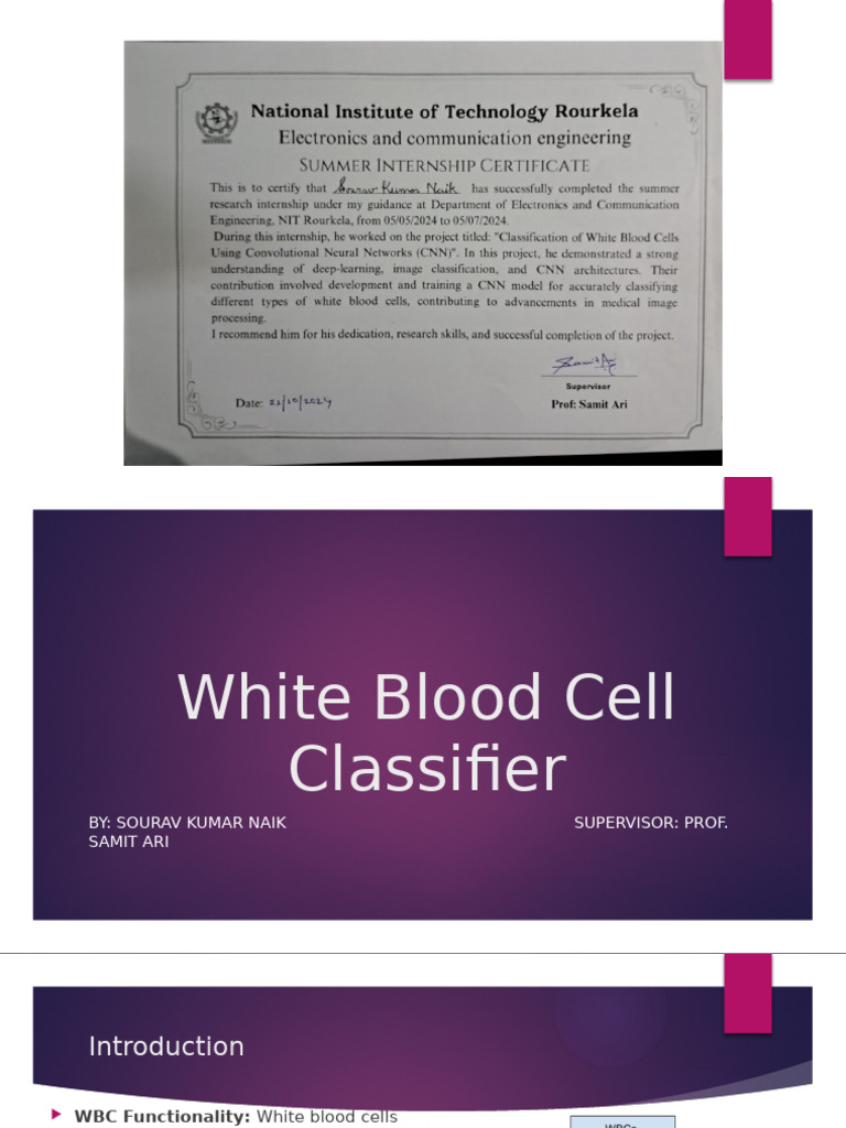 Enhancing White Blood Cell Detection | PDF | Deep Learning ...