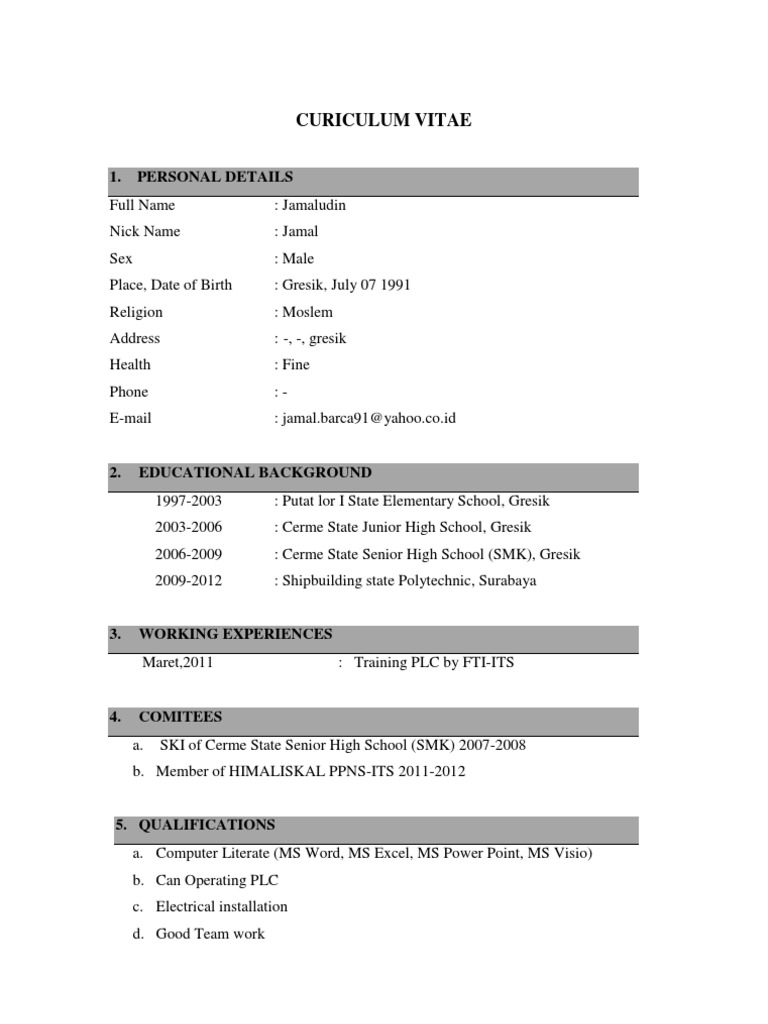 Jamaludin's Educational and Work Profile | PDF