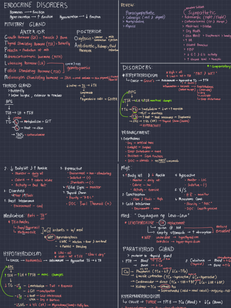 Endocrine Review Pdf Pdf