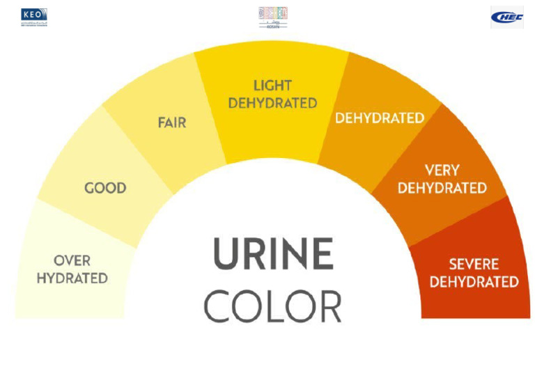 Urine Chart PDF