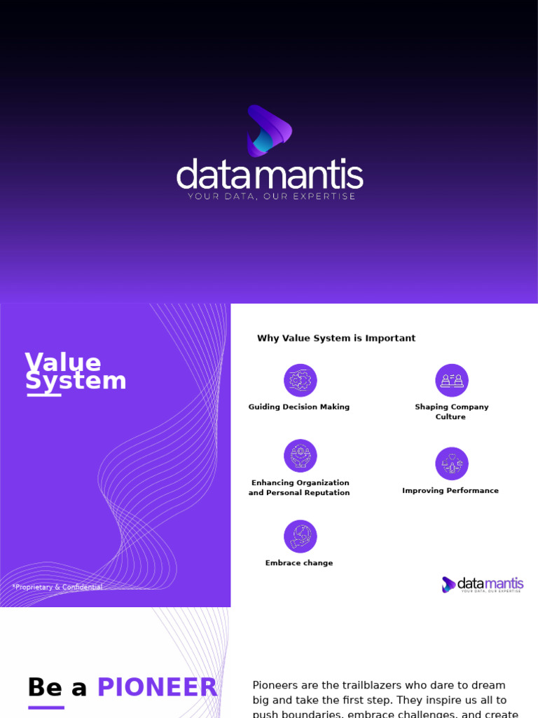 DataMantis Valuesystem V1.2 | PDF | Innovation | Artificial Intelligence