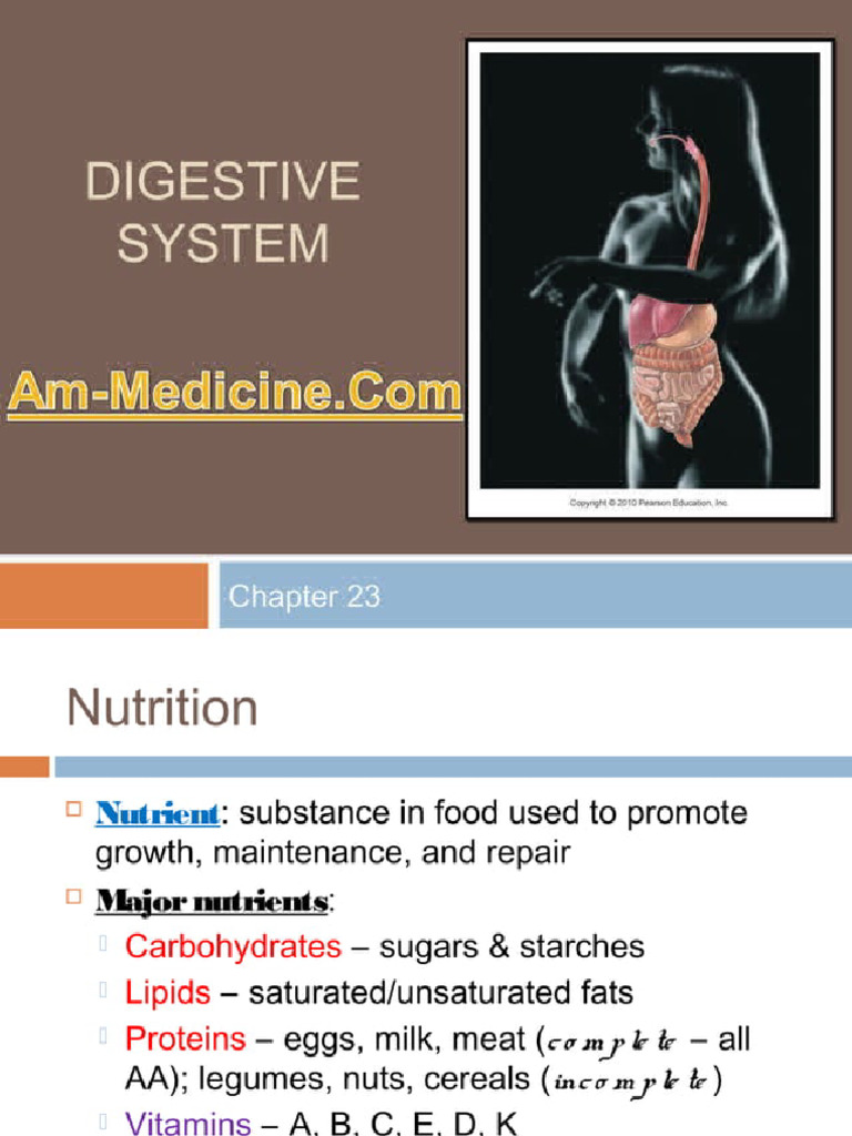 Anatomy Physiology Lecture Notes Digestive System | PDF