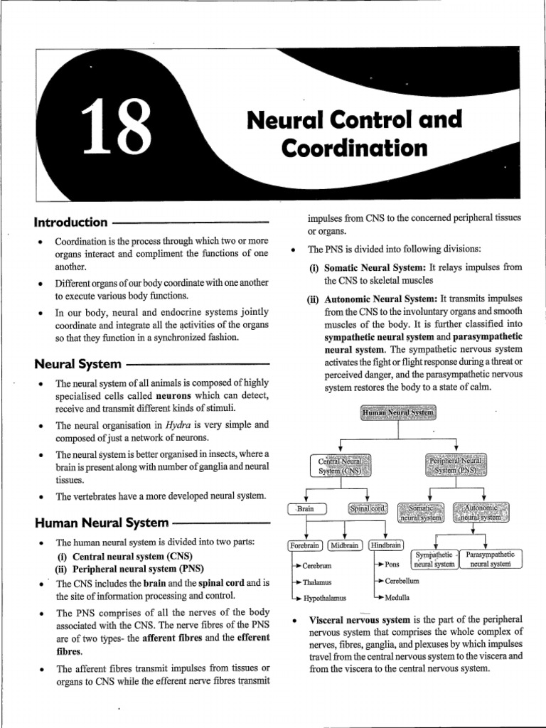 Edoc 2934 22241 | PDF