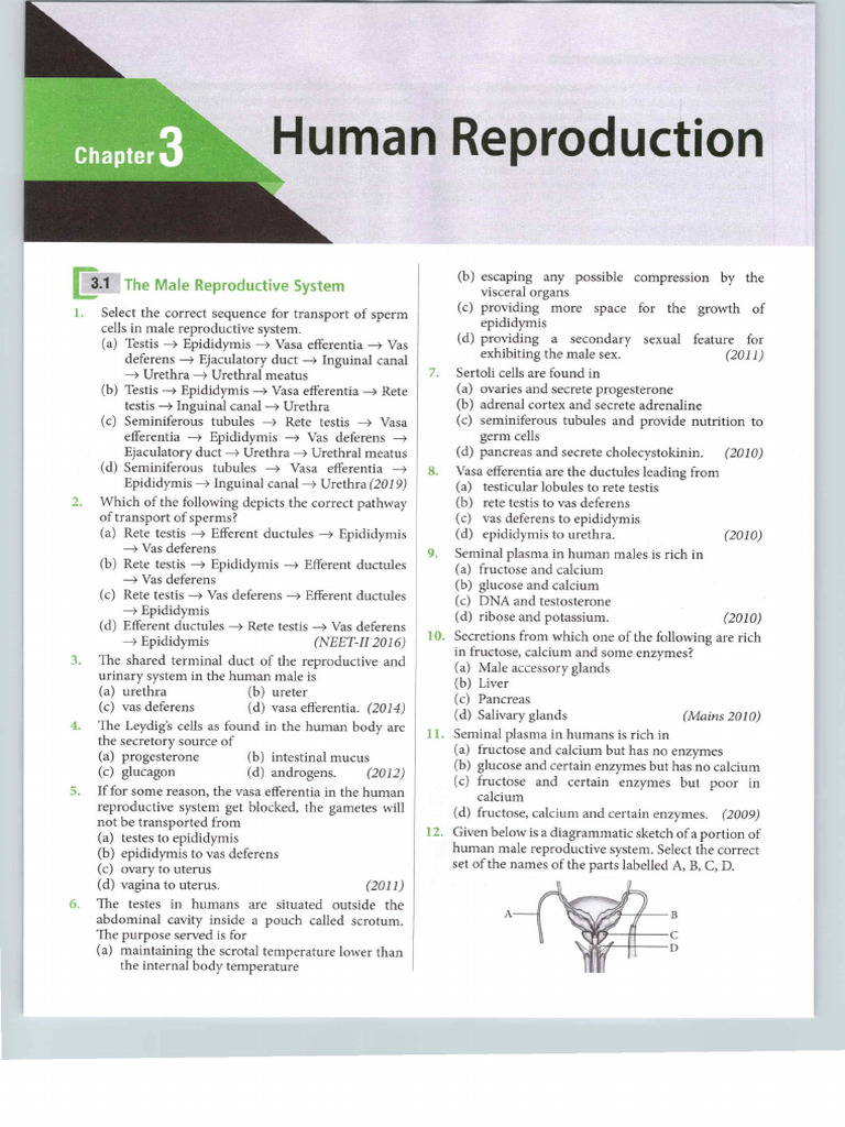 Edoc 2934 3595 | PDF