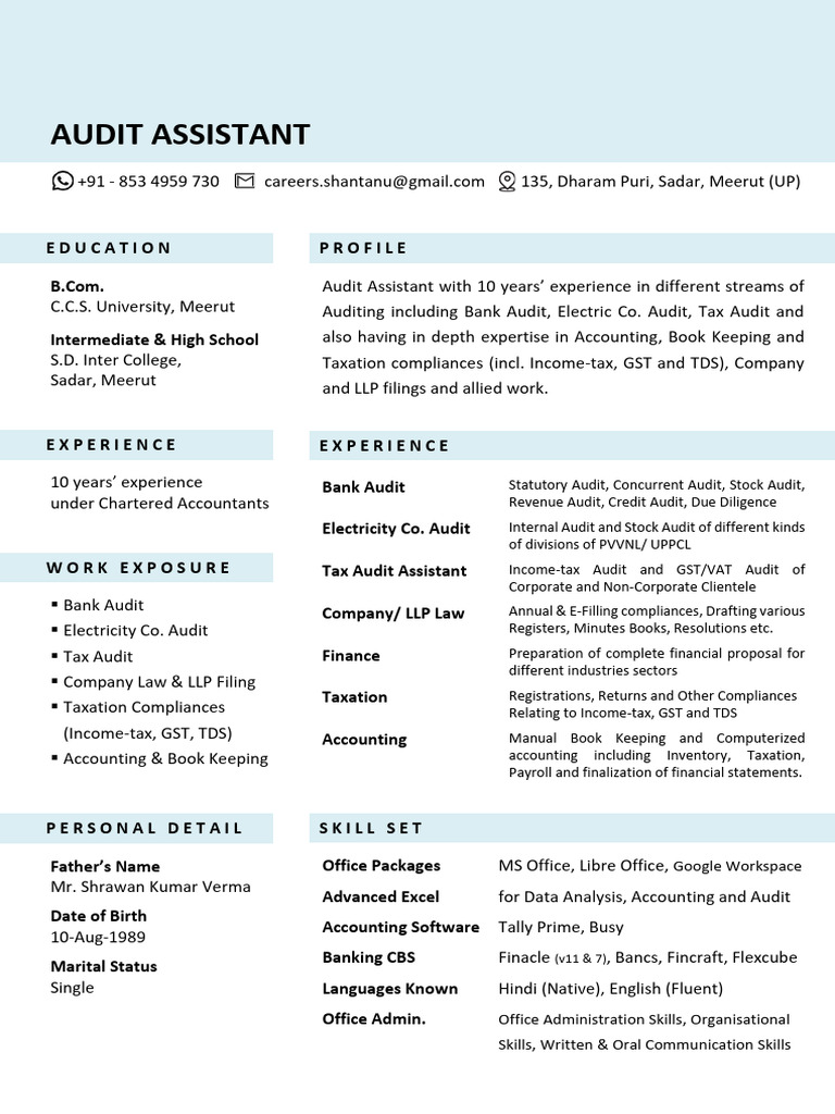 Audit Assistant with 10 Years Experience | PDF | Taxes | Accounting