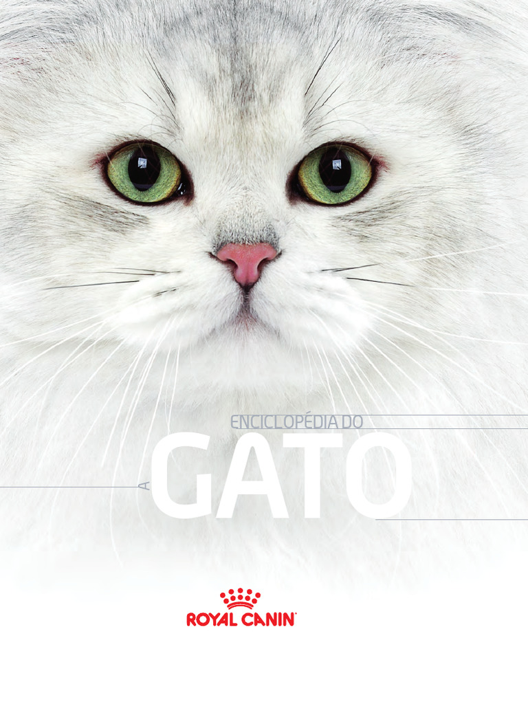 Pitbull albino dos olhos azuis 💙, image size:768x1024