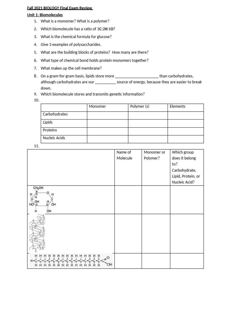 BIO Fall 2021 Final Review Sheet | PDF | Dominance (Genetics) | Dna