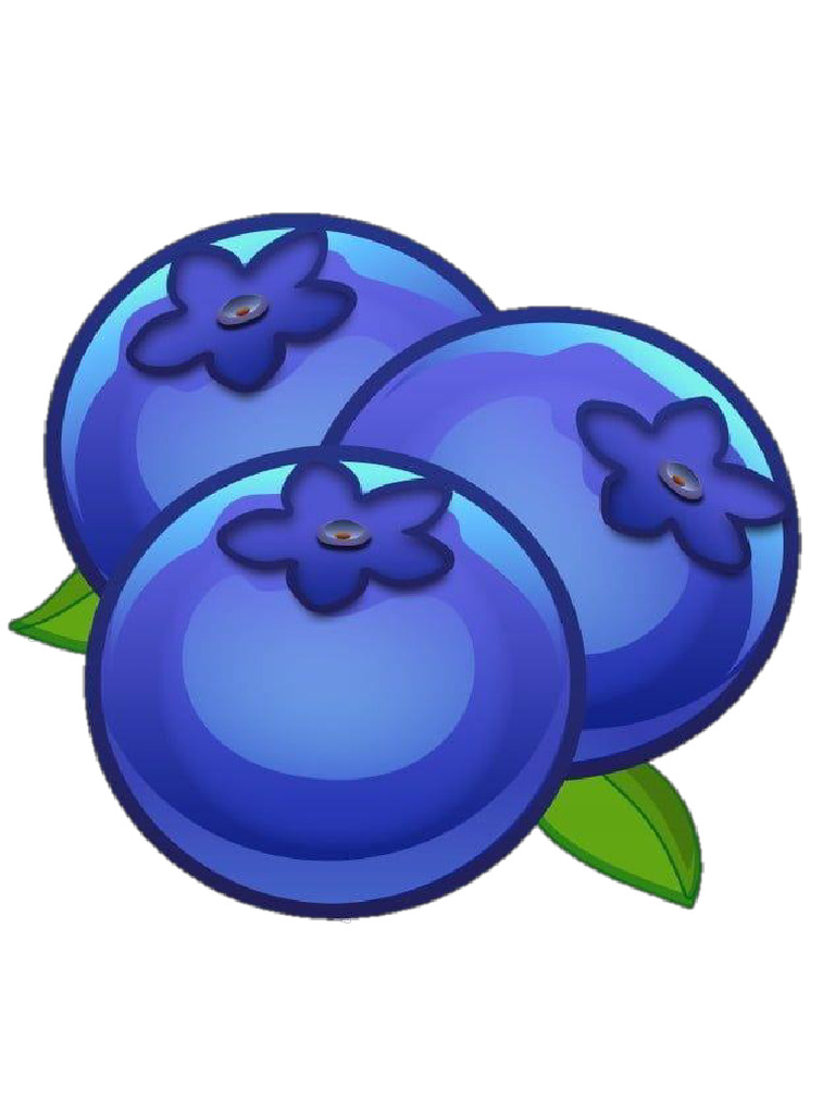Blueberry | PDF