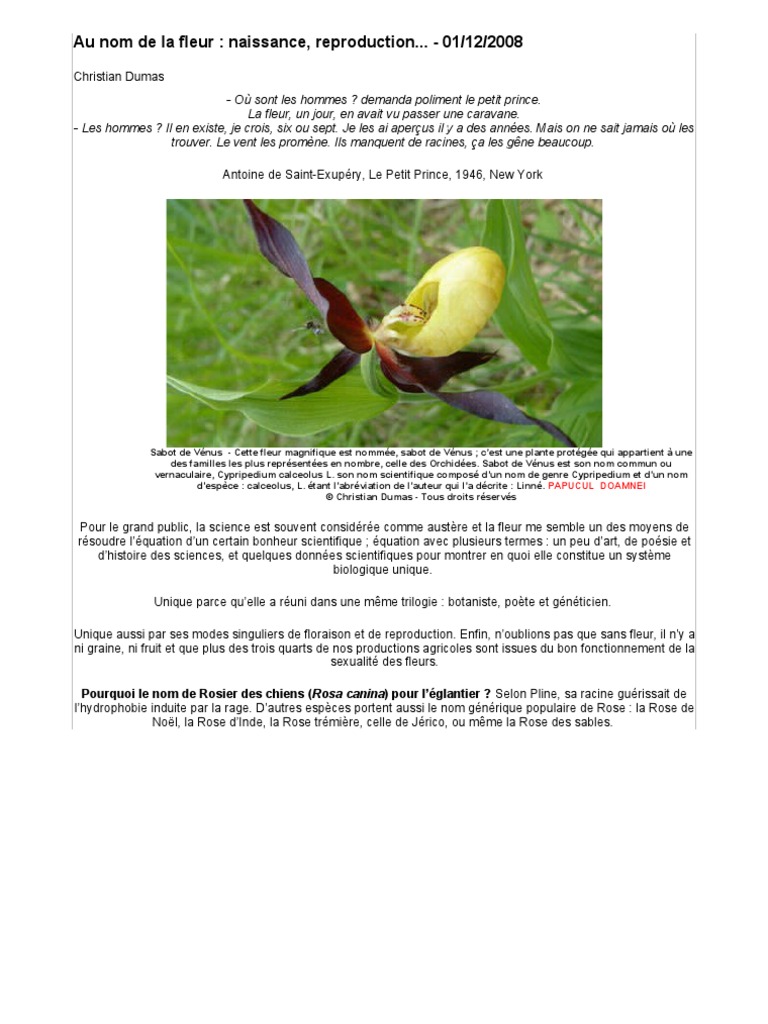 Au Nom De La Fleur