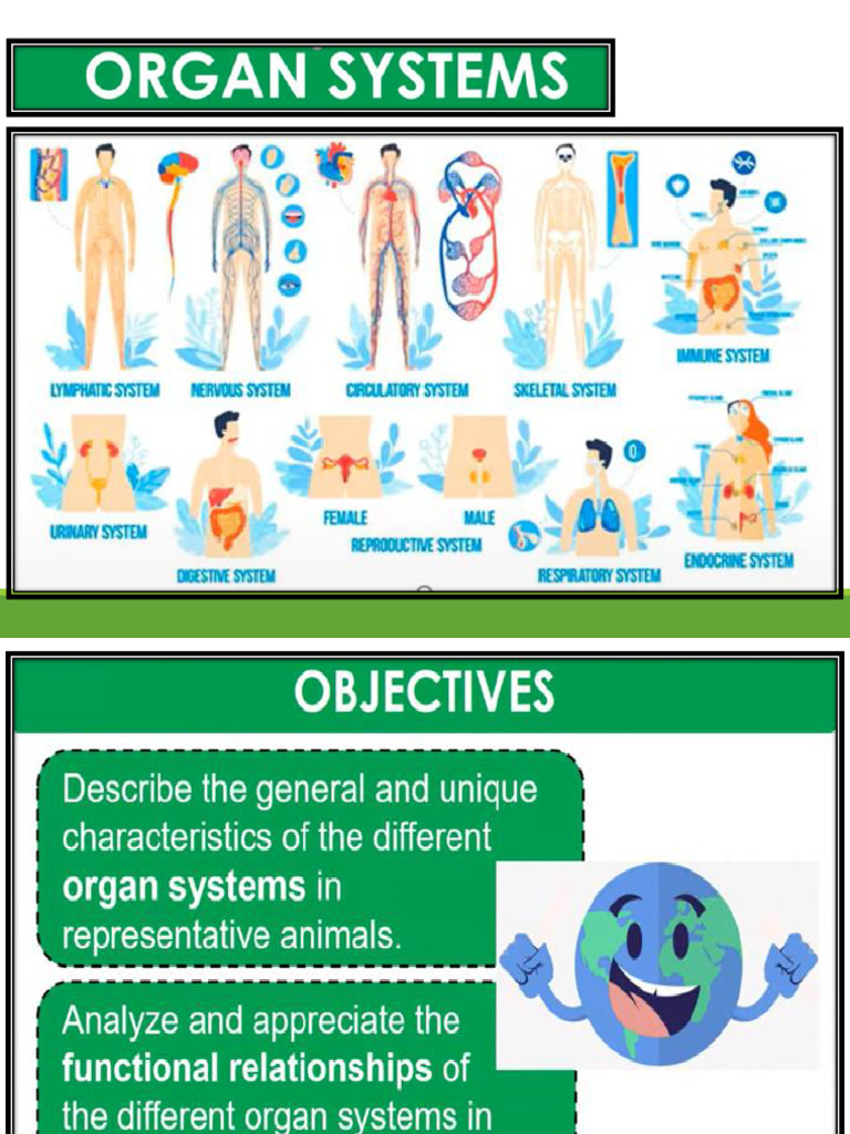 5.-Organ-Systems.... (1) | PDF | Human Body | Blood