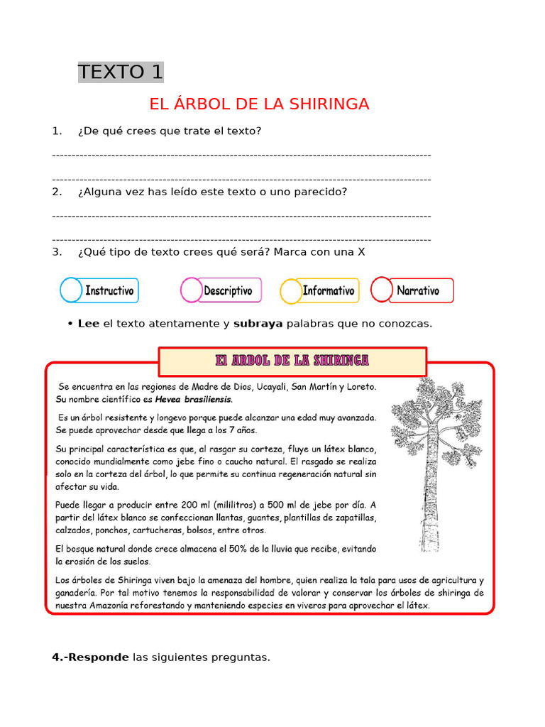 Arbol de La Shiringa | PDF