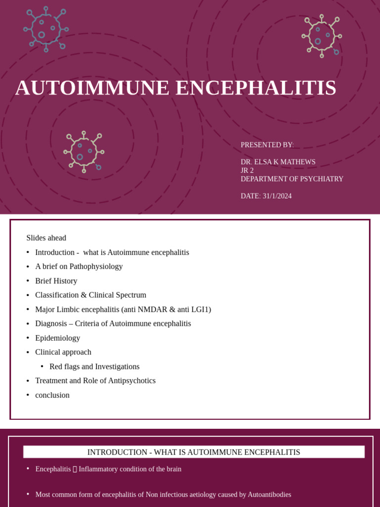 Understanding Autoimmune Encephalitis | PDF | Autoimmunity | Human ...