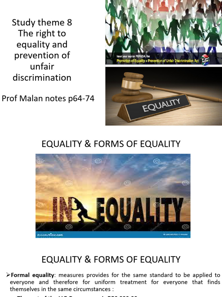 Study Theme 6 The Right To Equality and Prevention of Unfair ...