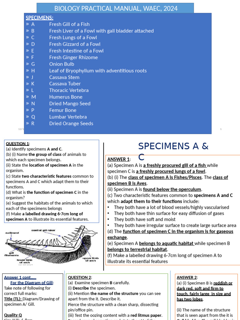 WAEC 2024 Biology Practical Manual | PDF | Vertebra | Vertebral Column