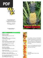 Pineapple Booklet