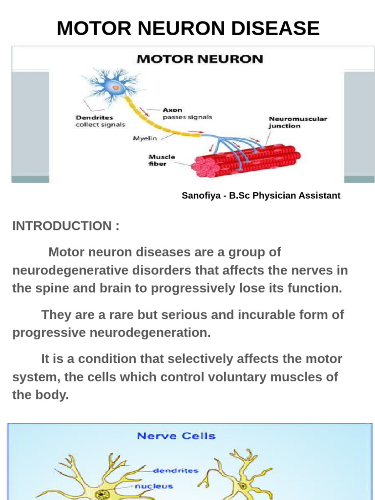 Understanding Motor Neuron Disease | PDF | Medical Specialties | Medicine
