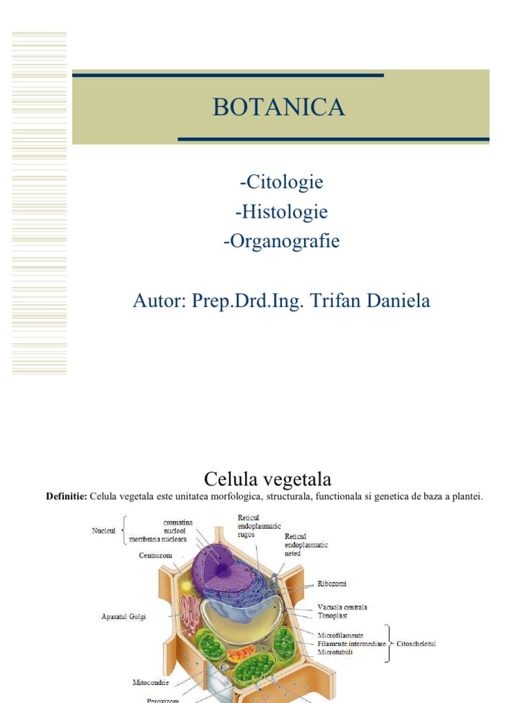 Botanica | PDF