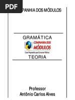 GRAMATICA_TEORIA_RESUMIDA_2010